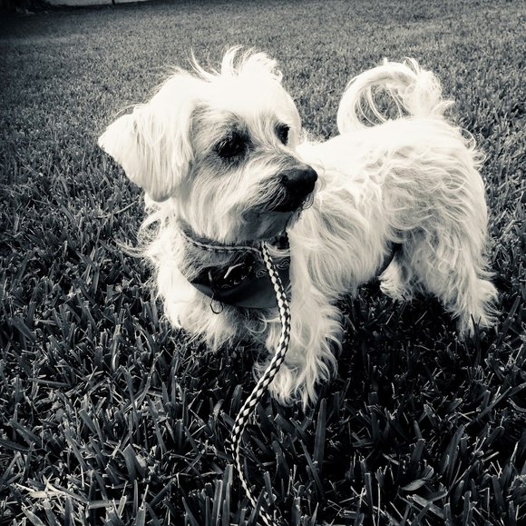 Meet your Posher, Mari - Picture 8 of 8